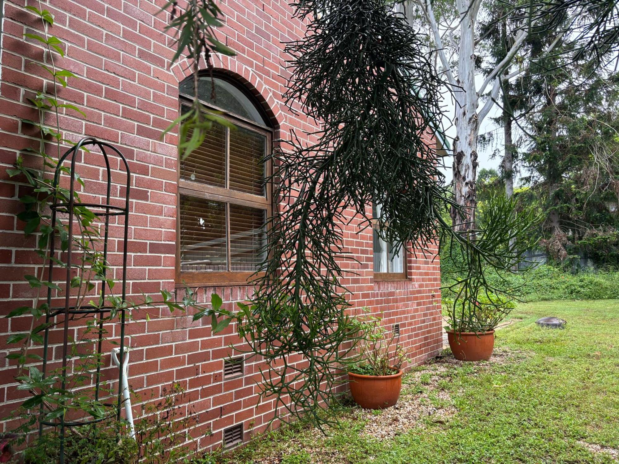 Celestial Dew Guesthouse In Tyalgum Εξωτερικό φωτογραφία