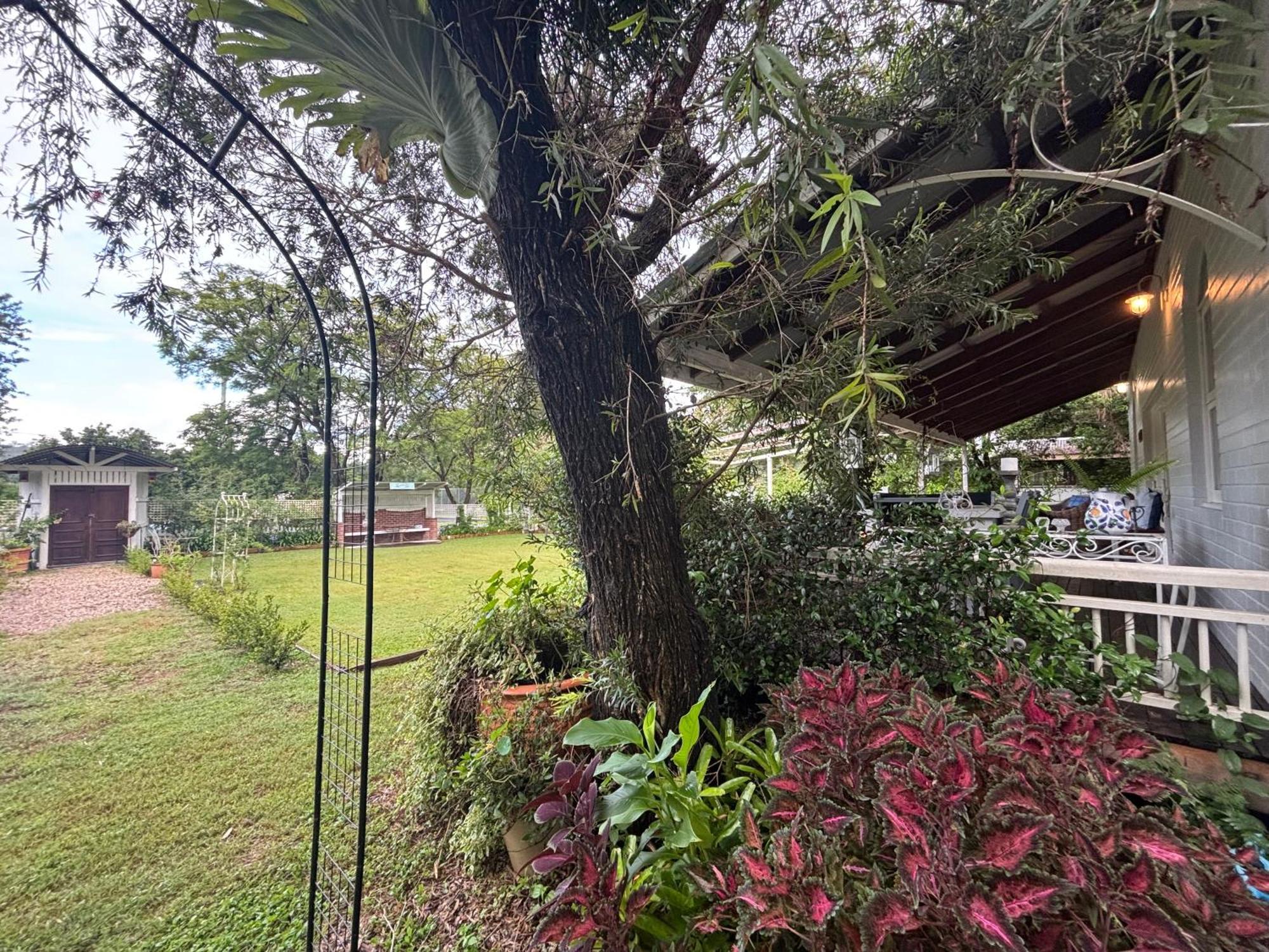Celestial Dew Guesthouse In Tyalgum Εξωτερικό φωτογραφία