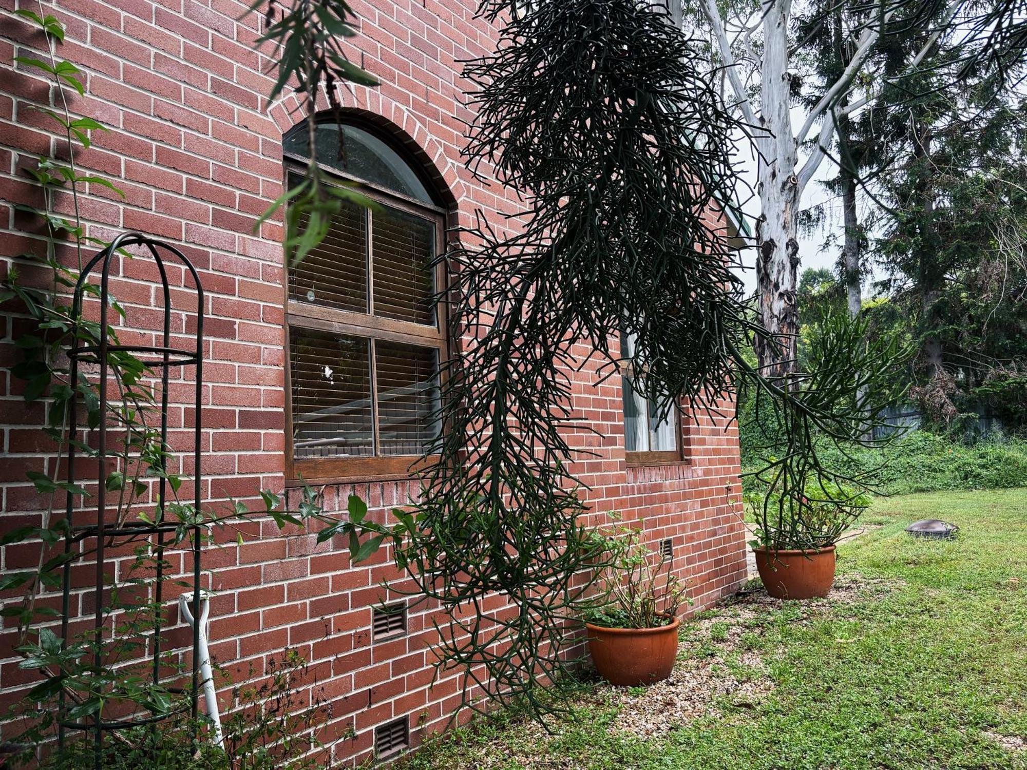 Celestial Dew Guesthouse In Tyalgum Εξωτερικό φωτογραφία
