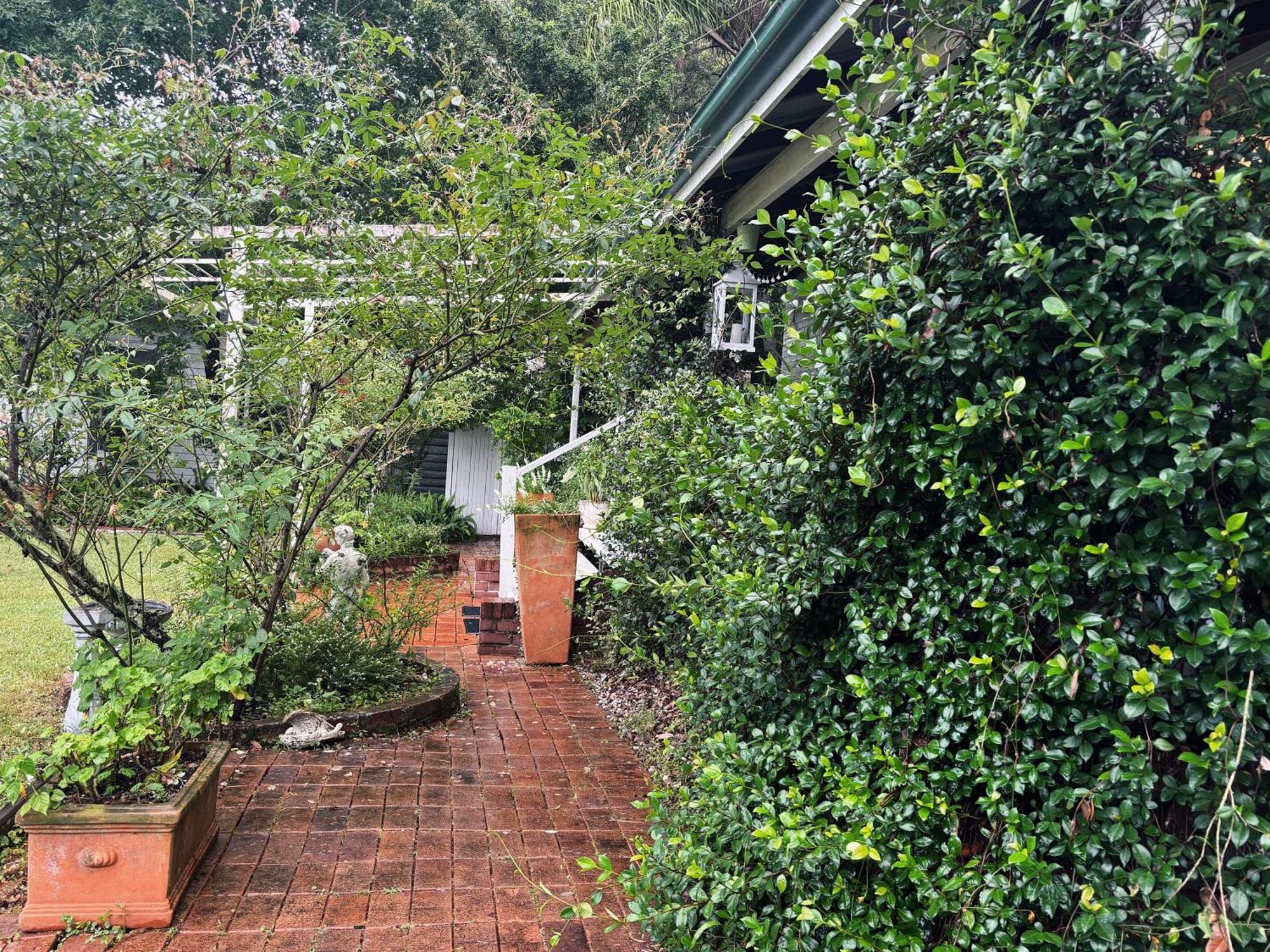 Celestial Dew Guesthouse In Tyalgum Εξωτερικό φωτογραφία