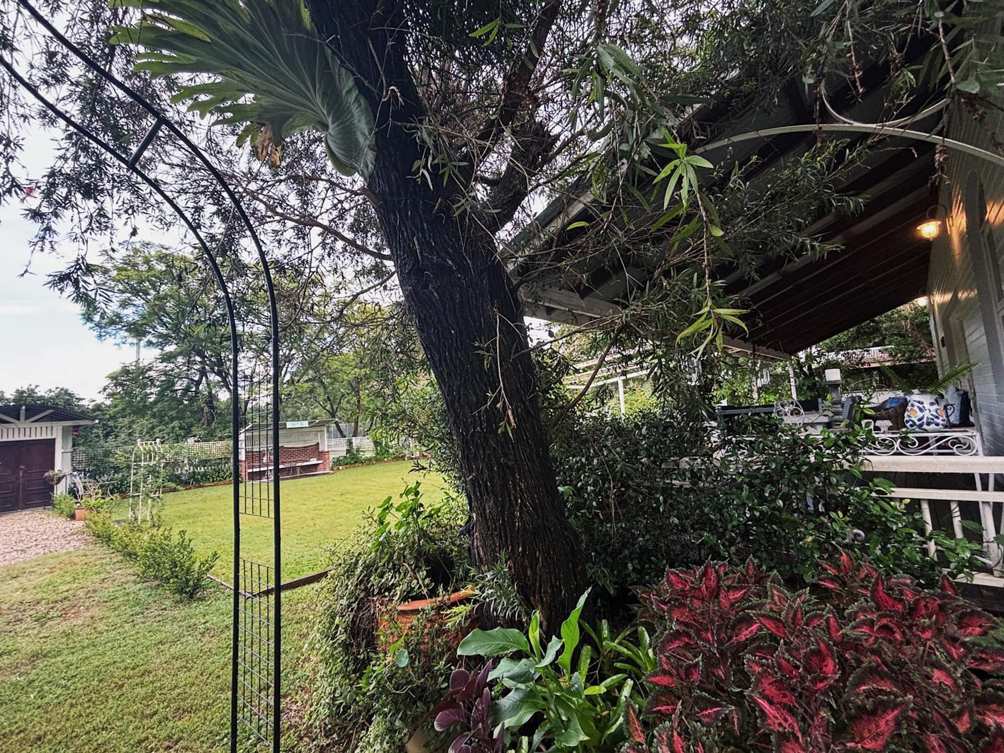 Celestial Dew Guesthouse In Tyalgum Εξωτερικό φωτογραφία